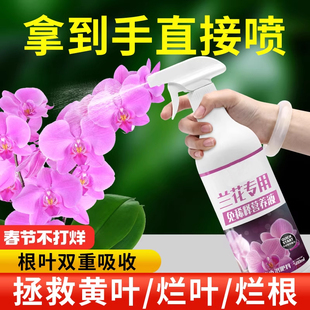 免稀释兰花专用营养液肥兰科植物蝴蝶兰君子兰墨兰促开花有机肥料