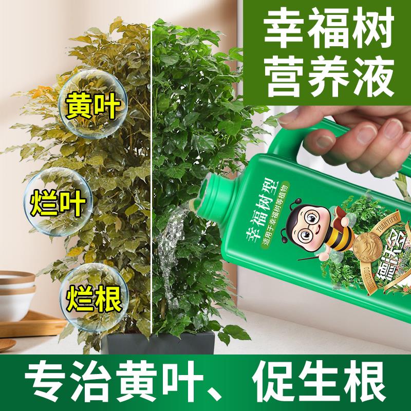 【富含微量元素】幸福树专用肥