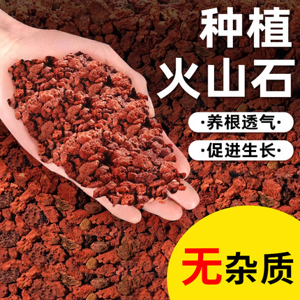 火山石颗粒养花透气火山岩盆栽铺面石多肉兰花造景专用营养土底砂