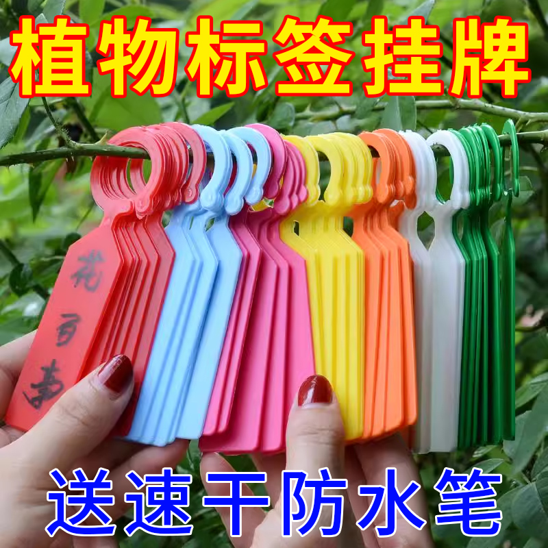 园艺标签插牌吊防水环扣植