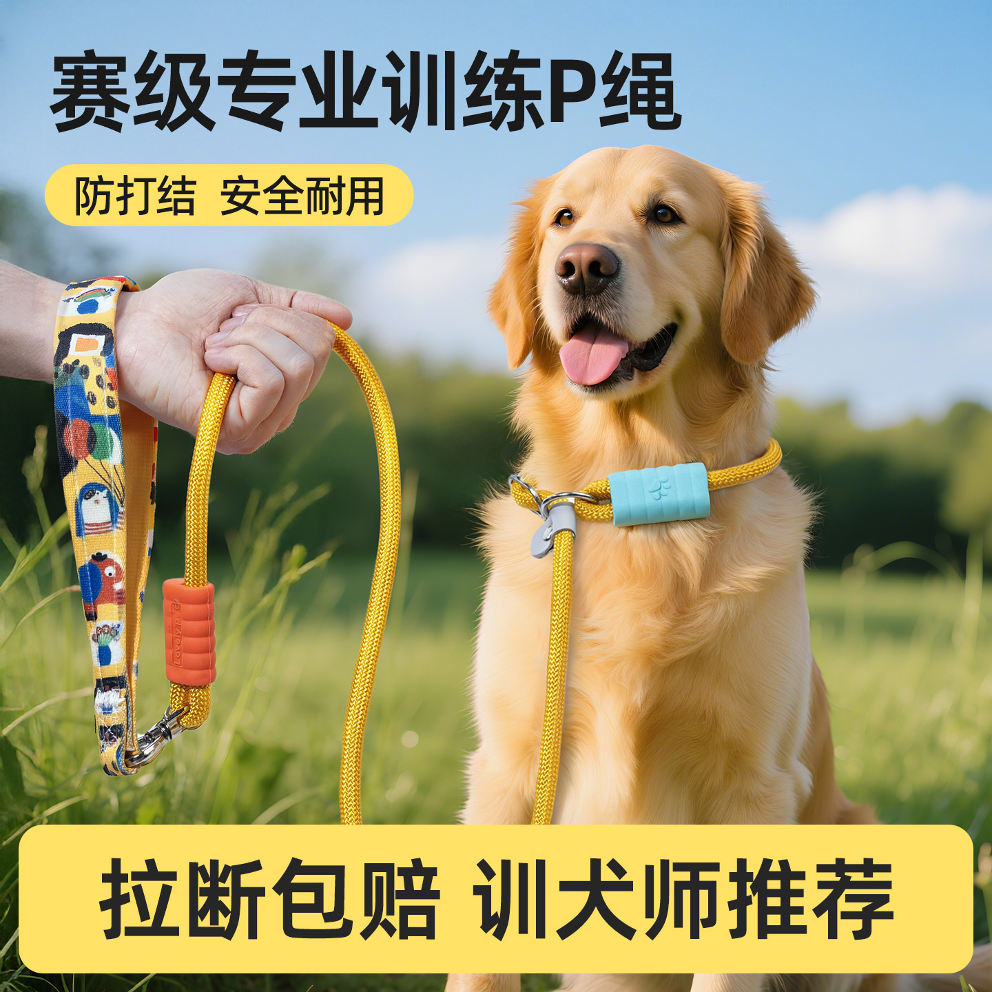 【牢固耐磨】狗狗牵引绳遛狗链子