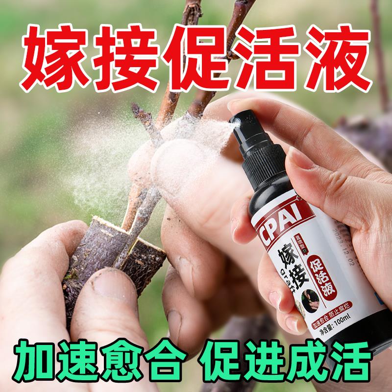 植物嫁接伤口愈合剂促活液