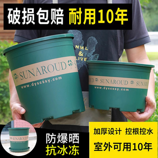 草莓 花盆盆家用塑料加厚阳台盆景多肉加仑盆绿萝专用盆栽月季