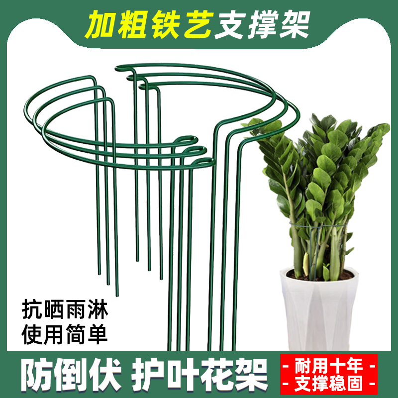 铁艺金钱树护叶架花架蟹爪兰植物花卉支撑聚拢防倒伏支撑半圆支架
