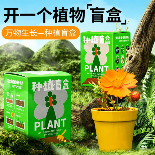 CAITLINGIRL阳光种植房儿童盲盒