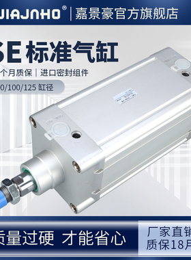 SE/DNC标准气缸大推力SE80/100x25x50x75x100x125x150x175x200-s