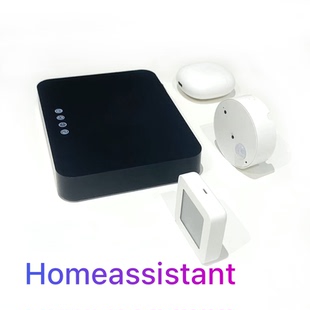苹果智能家庭HomeAssistant盒子ha智能中枢小米接入苹果生态4+32G