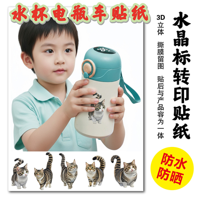 水杯宠物装饰可爱猫猫咪图案