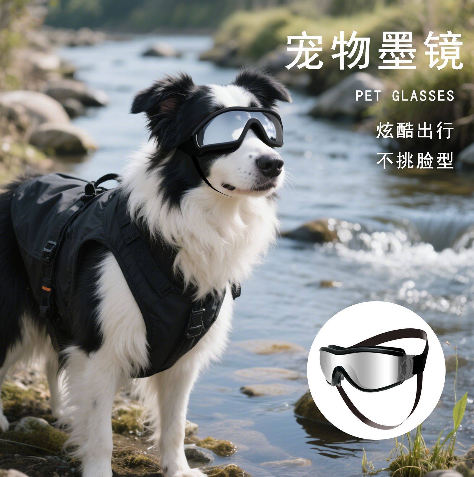 宠物眼镜狗狗墨镜柯基边牧金毛防风眼镜泰迪犬缅因猫护目镜太阳镜,宠物/宠物食品及用品,发饰/头饰,淘宝优惠券,粉丝福利购,淘宝优惠卷