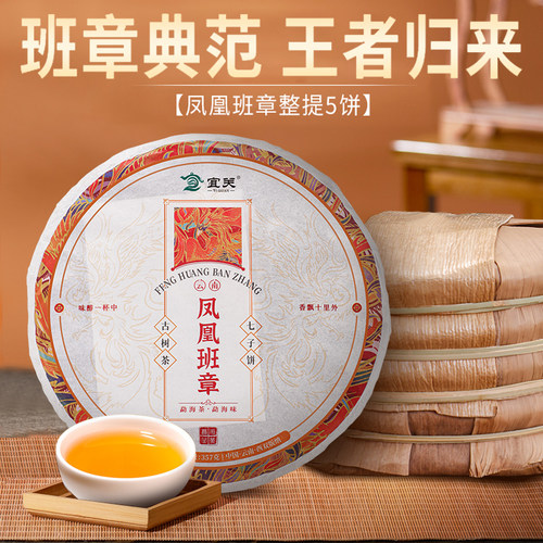 凤凰班章普洱茶生茶云南古树茶叶
