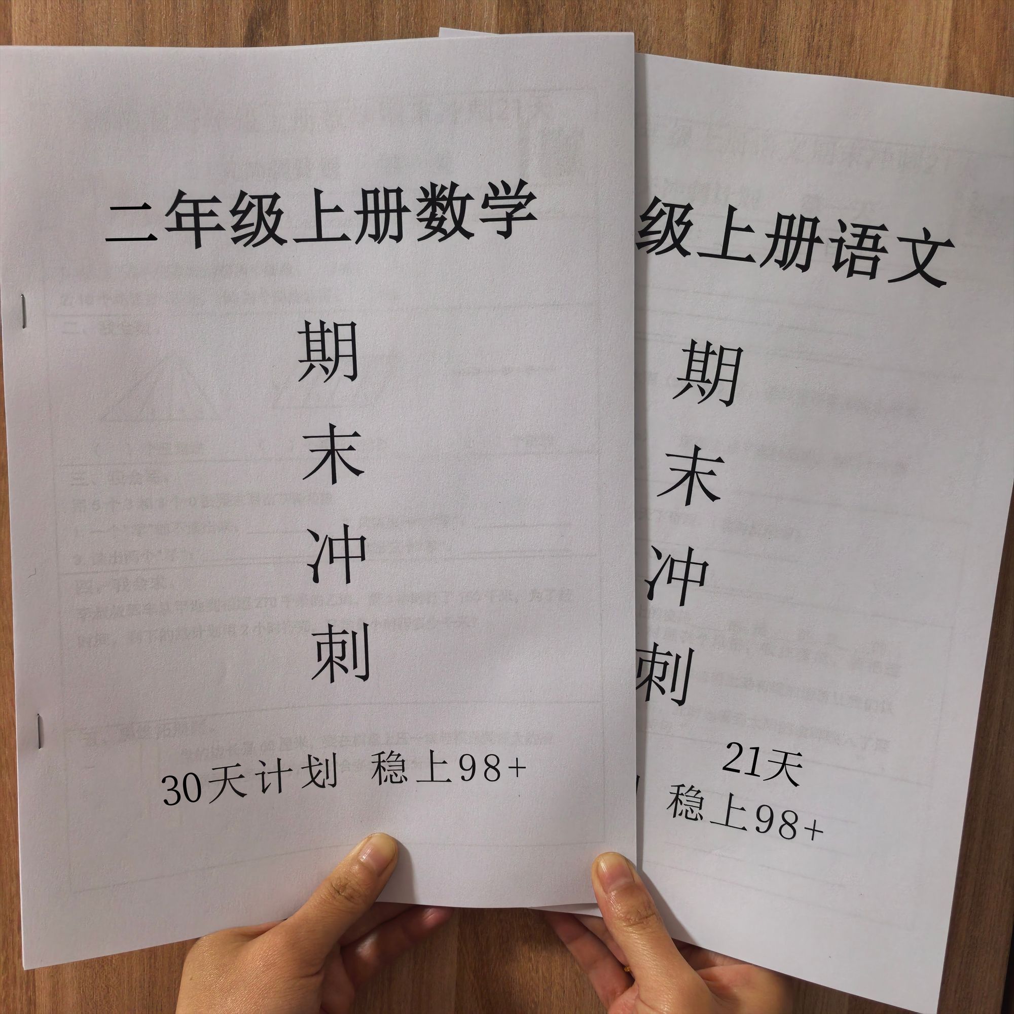 2025新版二年级期末冲刺上册语文数学复习21天每日一练练习本