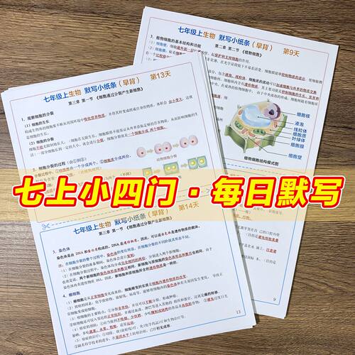 2026新七上小四门必背点