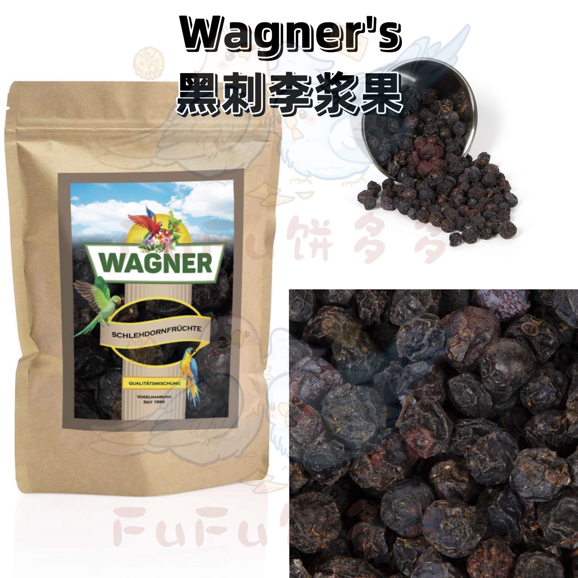 【鹦鹉零食】Wagner's黑刺李浆果含丰富维C抗炎促进食欲