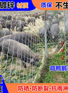 镀锌铁丝网钢丝围栏养猪牛羊勾花网鸡鸭狗养殖网鱼塘果园防护
