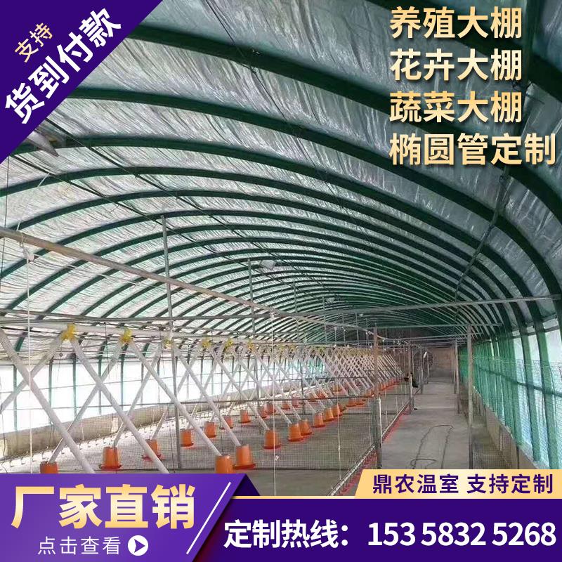 k鸡建全搭钢管大棚养殖养h套骨架养牛保温养猪