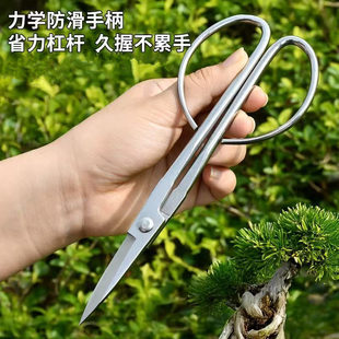 不锈钢叶芽剪盆景修剪花卉果树剪枝专用剪刀工具修枝枝叶剪园艺剪