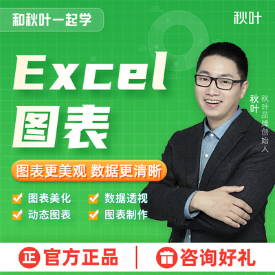 Excel进阶教程图表美化动态图表视频课程