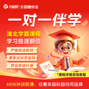 清北团队1v1在线辅导补习