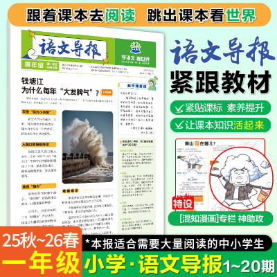 必刷题2025新版小学语文导报全年订阅期刊