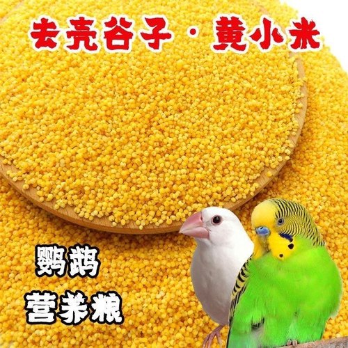 新货黄小米鸟食小黄谷子文鸟珍珠虎皮牡丹玄凤鹦鹉鸟粮营养粮饲料