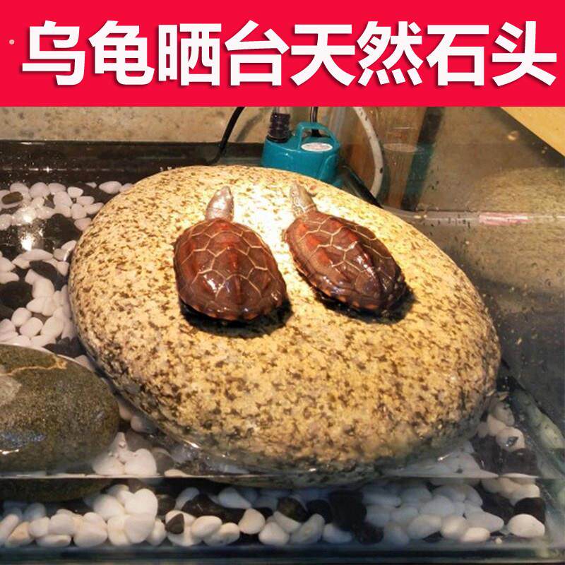 乌龟晒背石晒台养乌龟专用爬坡楼梯龟缸深水缸石头养龟躲避溪流石