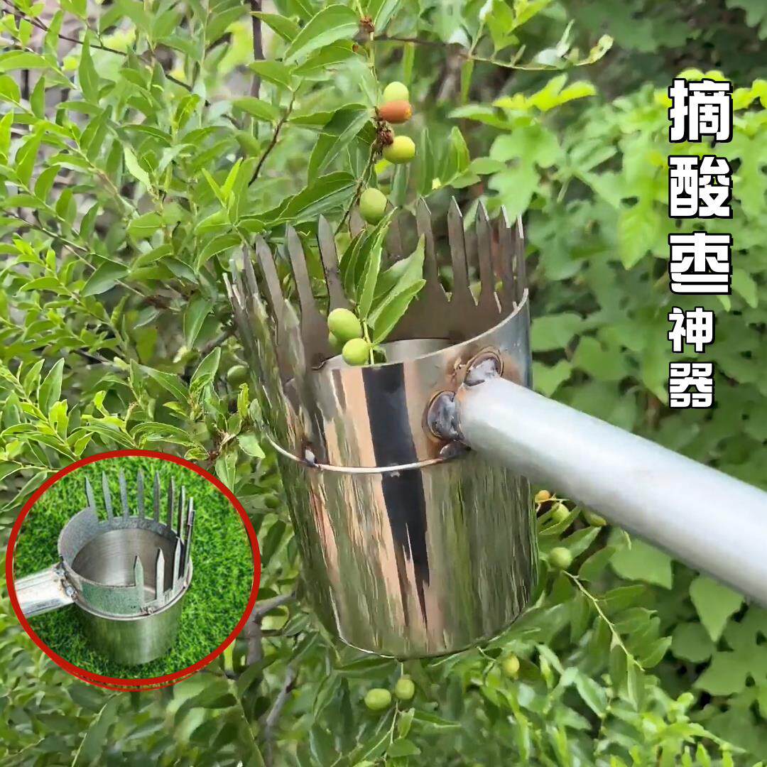 摘酸枣专用工具采摘新款不锈钢加厚野小山果不扎手采杨梅枇杷酸枣