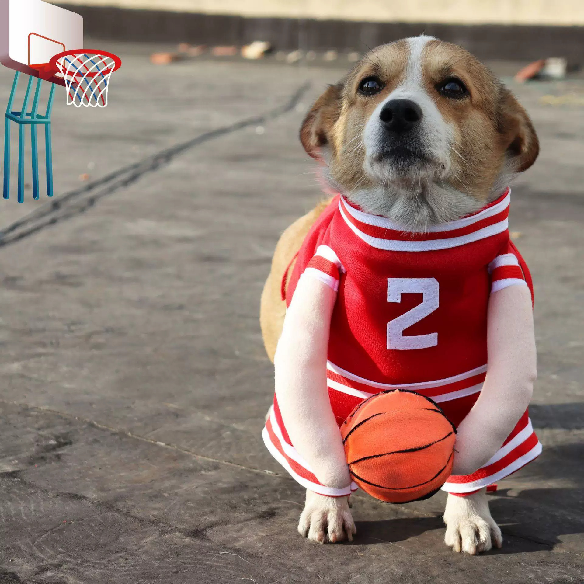 网红新款DogCostume带球的狗篮球服搞怪猫咪变身装直立搞笑立体衣