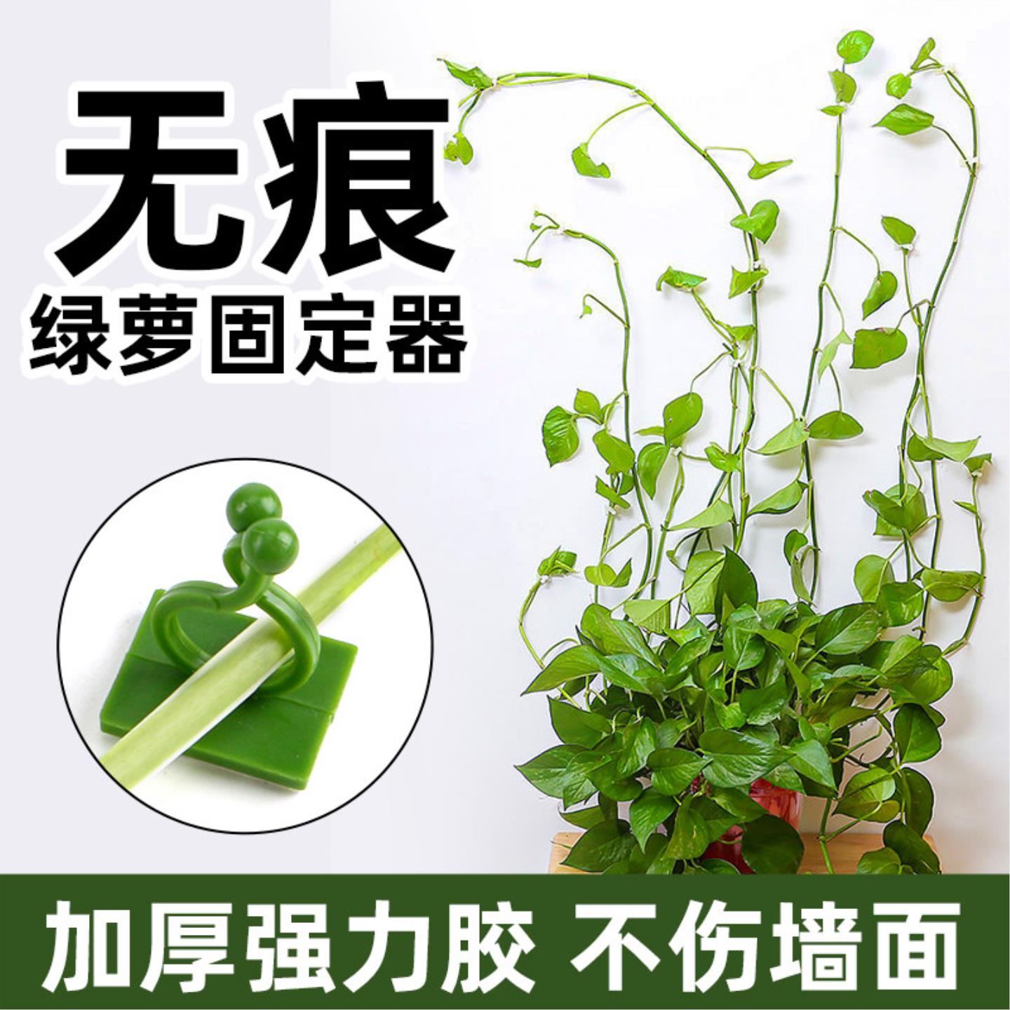 绿箩爬藤固定器月季爬藤固定器爬上神器绿植固定架墙上无痕挂钩粘