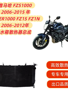 适用雅马哈 FZS1000 06-15 FAZER 1000 FZ1S FZ1N 06-12 水箱总成