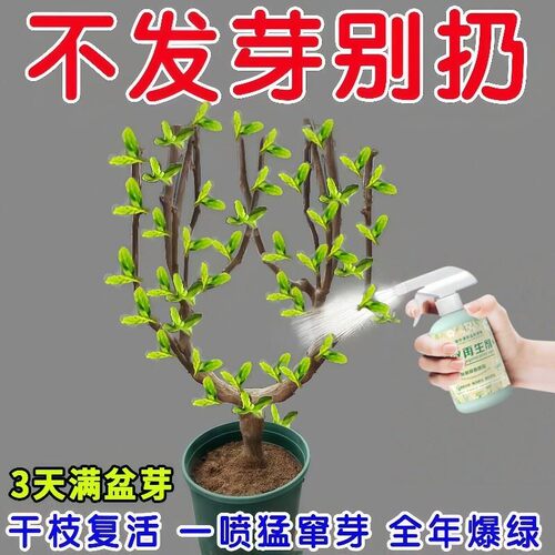 英国植物速效再生剂绿植花卉复活液盆栽光杆发黄掉叶通用型水溶肥