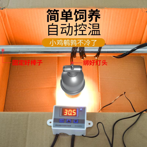 芦丁鸡保温灯小鸡育雏取暖灯饲养箱加温养殖场专用温控器加热灯泡