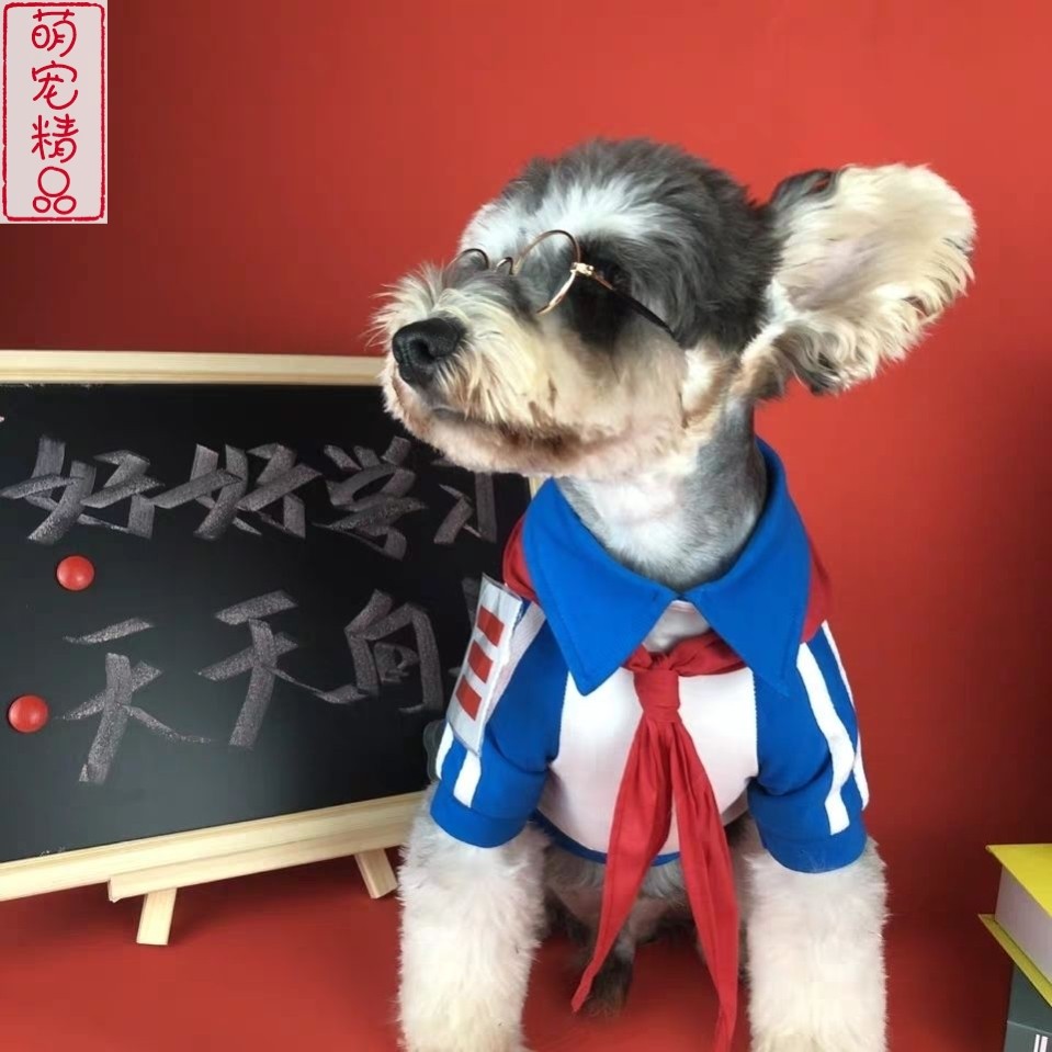 雪纳瑞校服班服网红春秋宠物猫咪狗狗衣服学生装上学院风泰迪博美