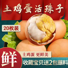知江南活珠子新鲜13天20只即食熟食凤凰蛋毛蛋钢化蛋毛鸡蛋鸡胚蛋