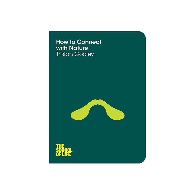 如何与大自然连接 how to connect with nature