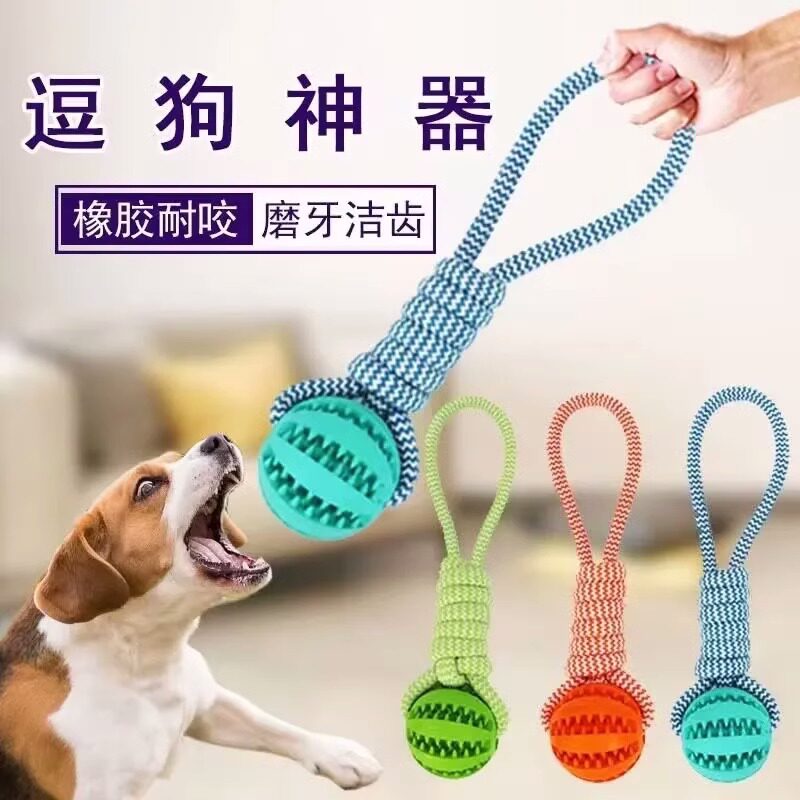 狗狗玩具漏食球耐咬磨牙棒穿绳咬绳拉布拉多边境牧羊犬泰迪金毛互