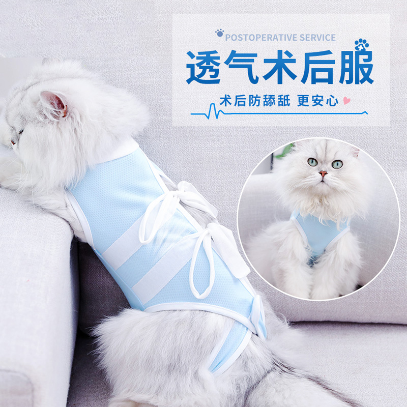 猫咪绝育服母猫手术服衣服透气戒奶服断奶服公猫防舔术后宠物猫猫