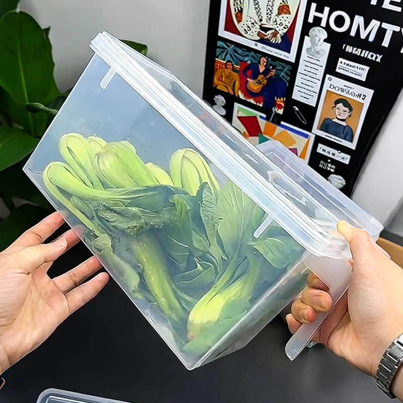 带手柄保鲜盒食品级厨房冰箱专用大容量水果蔬菜鸡蛋肉冰箱收纳盒,餐饮具,保鲜盒,淘宝优惠券,粉丝福利购,淘宝优惠卷