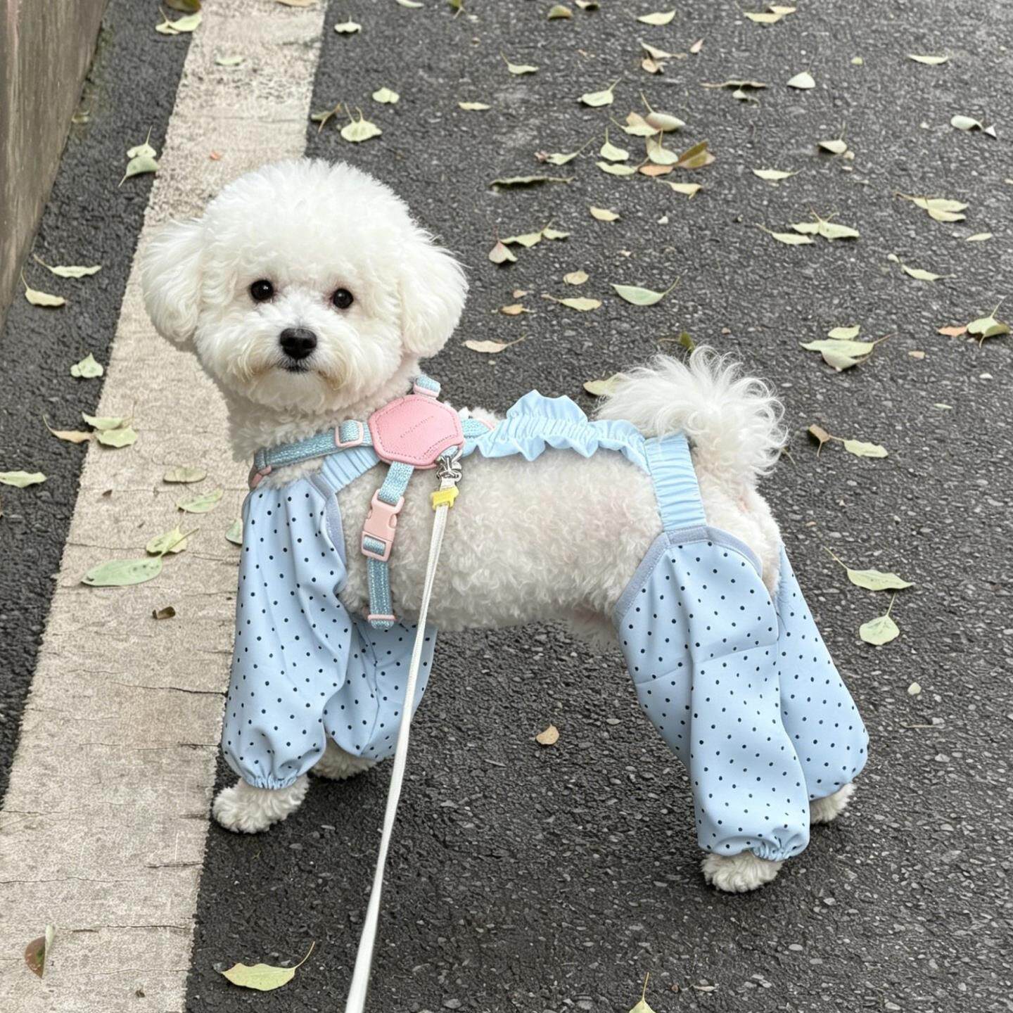 狗狗衣服小狗宠物薄款夏天四脚防尘裤比熊泰迪中小型犬2026新款
