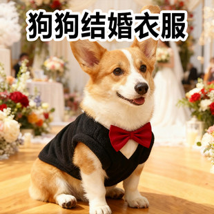 狗狗结婚衣服婚礼小柯基宠物婚纱西装牵引扣冬季燕尾服礼服牵引绳