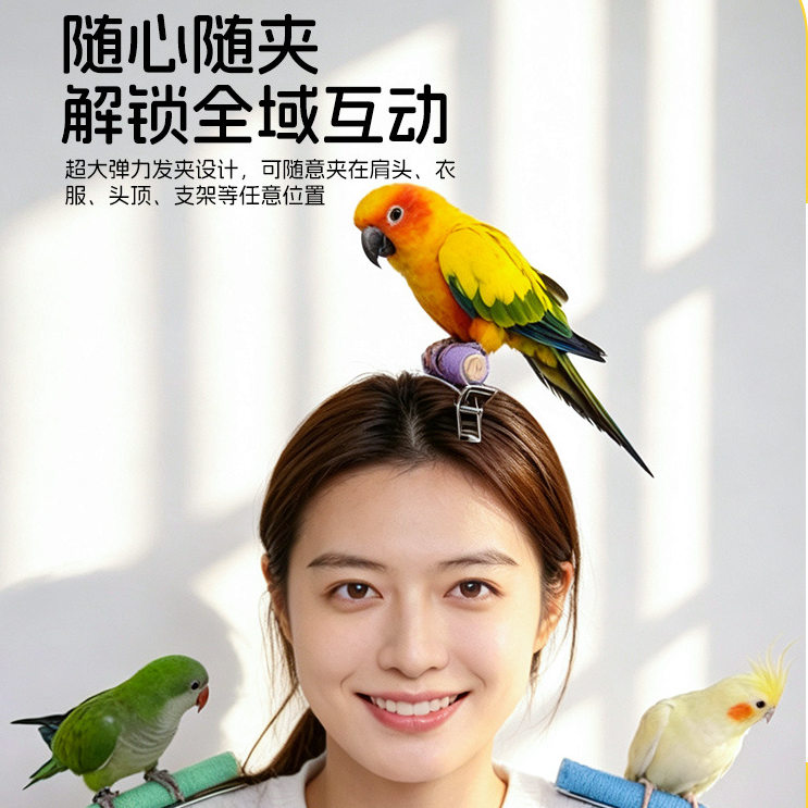 鹦鹉随心夹发夹站杆玄凤牡丹专用训练互动小鸟站架披肩站棍站肩膀