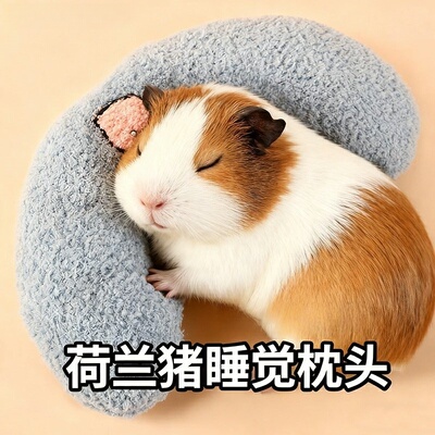 荷兰猪睡觉小枕头陪伴安全感解闷玩具保暖棉窝刺猬龙猫雪貂专用品