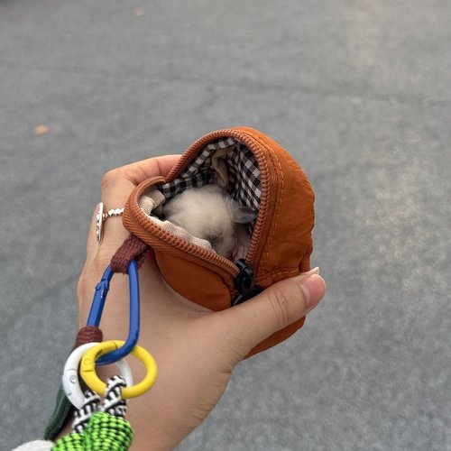 蜜袋鼯迷你外出包仓鼠豚鼠小宠物外出笼子夏冬随身携带外带包透气