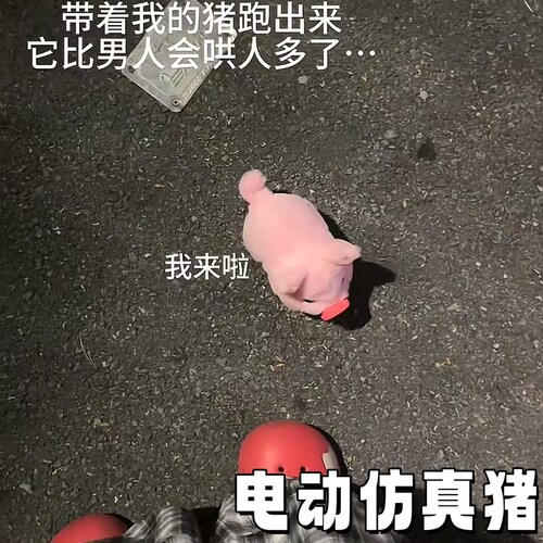 仿真小猪毛绒玩具创意电动猪猪宠物多功能会走路的会叫的公仔玩偶