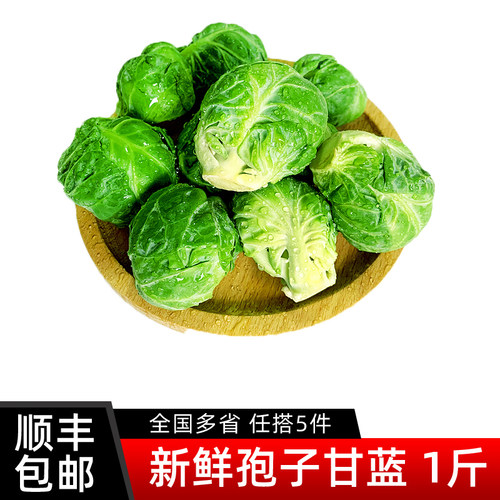 新鲜孢子甘蓝500g 迷你小包菜小卷心菜甘蓝菜 新鲜蔬菜 满5件包邮