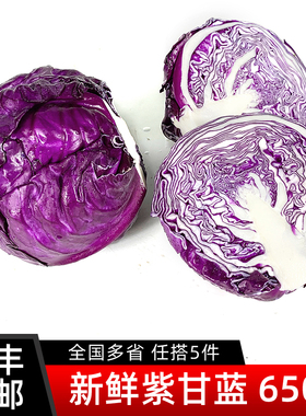 紫甘蓝650g 紫包菜球紫色红椰菜西餐蔬菜生菜轻食沙拉食材5件包邮
