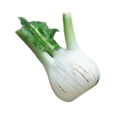 新鲜茴香头约1斤 茴香根茴香球茎西餐香料蔬菜炒牛肉食材 5件包邮