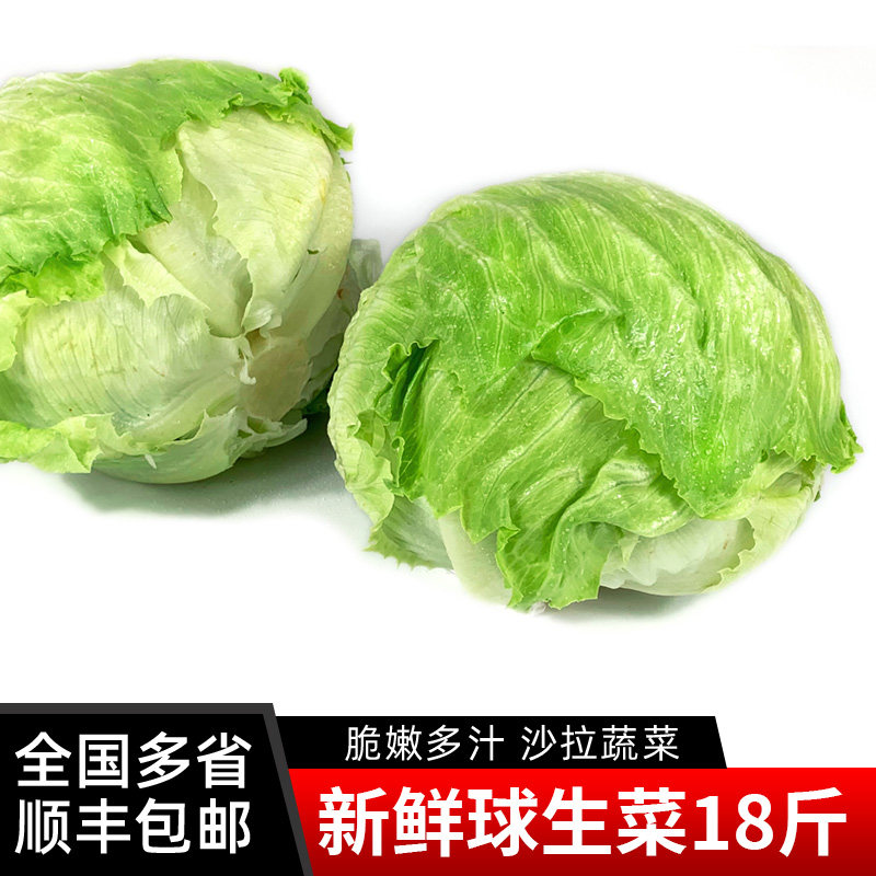 球生菜18斤新鲜西生菜圆生菜汉堡蔬菜西餐沙拉轻食材绿叶圆球生菜,水产肉类/新鲜蔬果/熟食,其它,淘宝优惠券,粉丝福利购,淘宝优惠卷