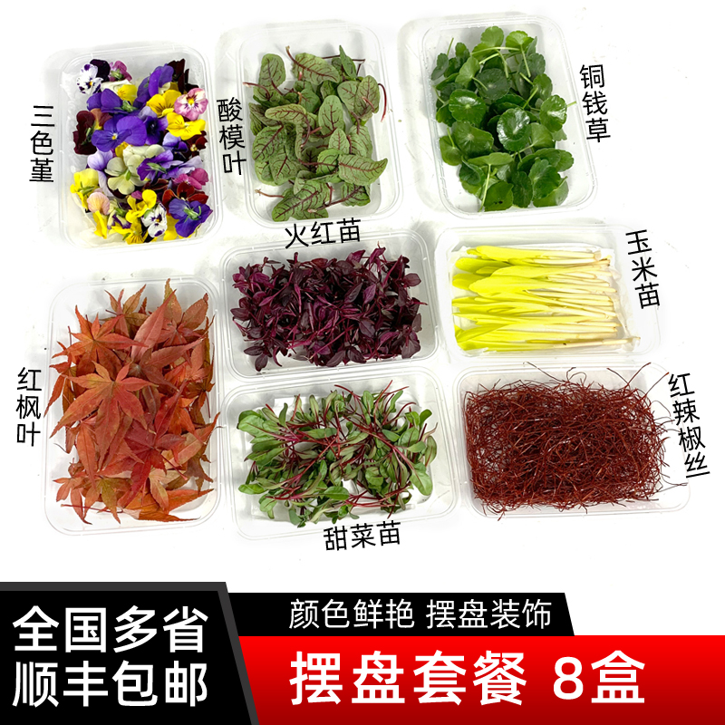 8种摆盘装饰套餐 三色堇酸模叶火红苗玉米苗甜菜苗铜钱草顺丰包邮