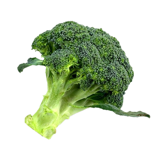 新鲜西兰花5斤 脆嫩青花菜绿花菜西蓝花椰菜 时令蔬菜 包邮