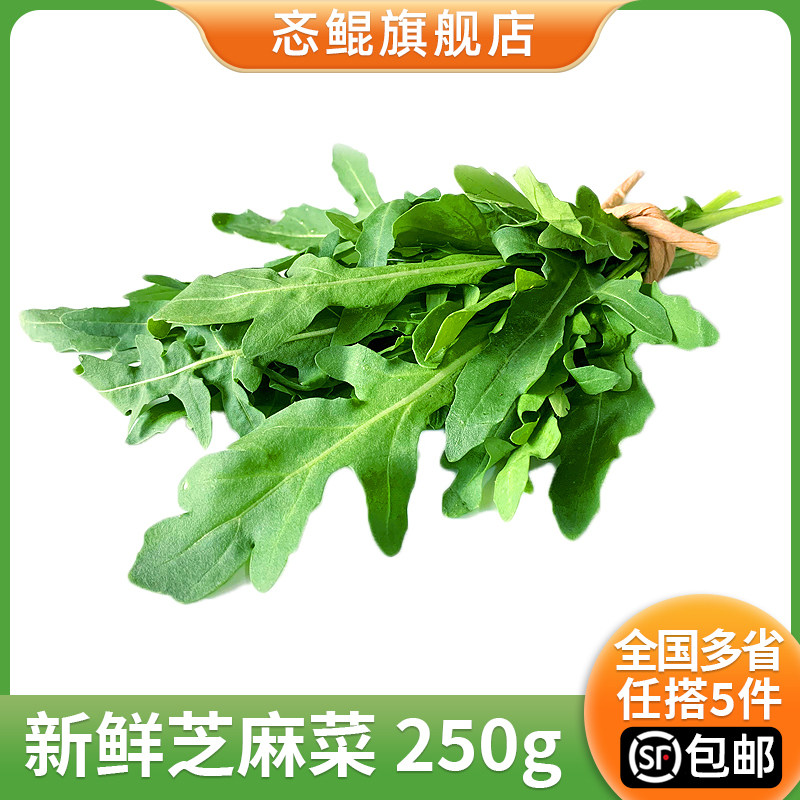 新鲜芝麻菜250g 德国芥菜 火箭菜 西餐沙拉蔬菜食材 5件包邮,水产肉类/新鲜蔬果/熟食,叶菜类,淘宝优惠券,粉丝福利购,淘宝优惠卷